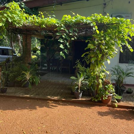 Olivia Homestay Anuradhapura Exterior photo