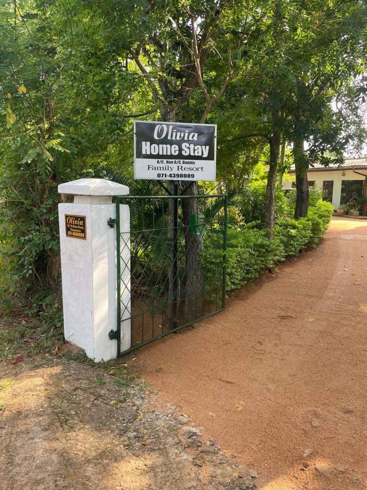 Olivia Homestay Anuradhapura Exterior photo