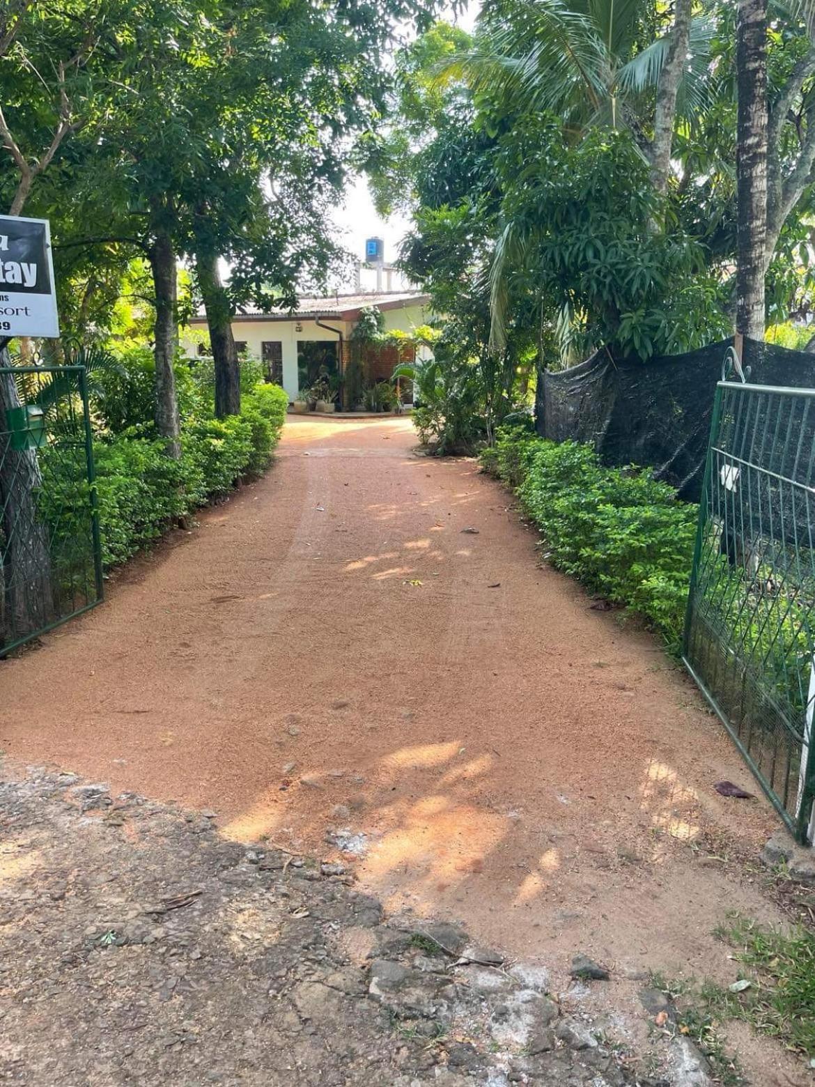 Olivia Homestay Anuradhapura Exterior photo