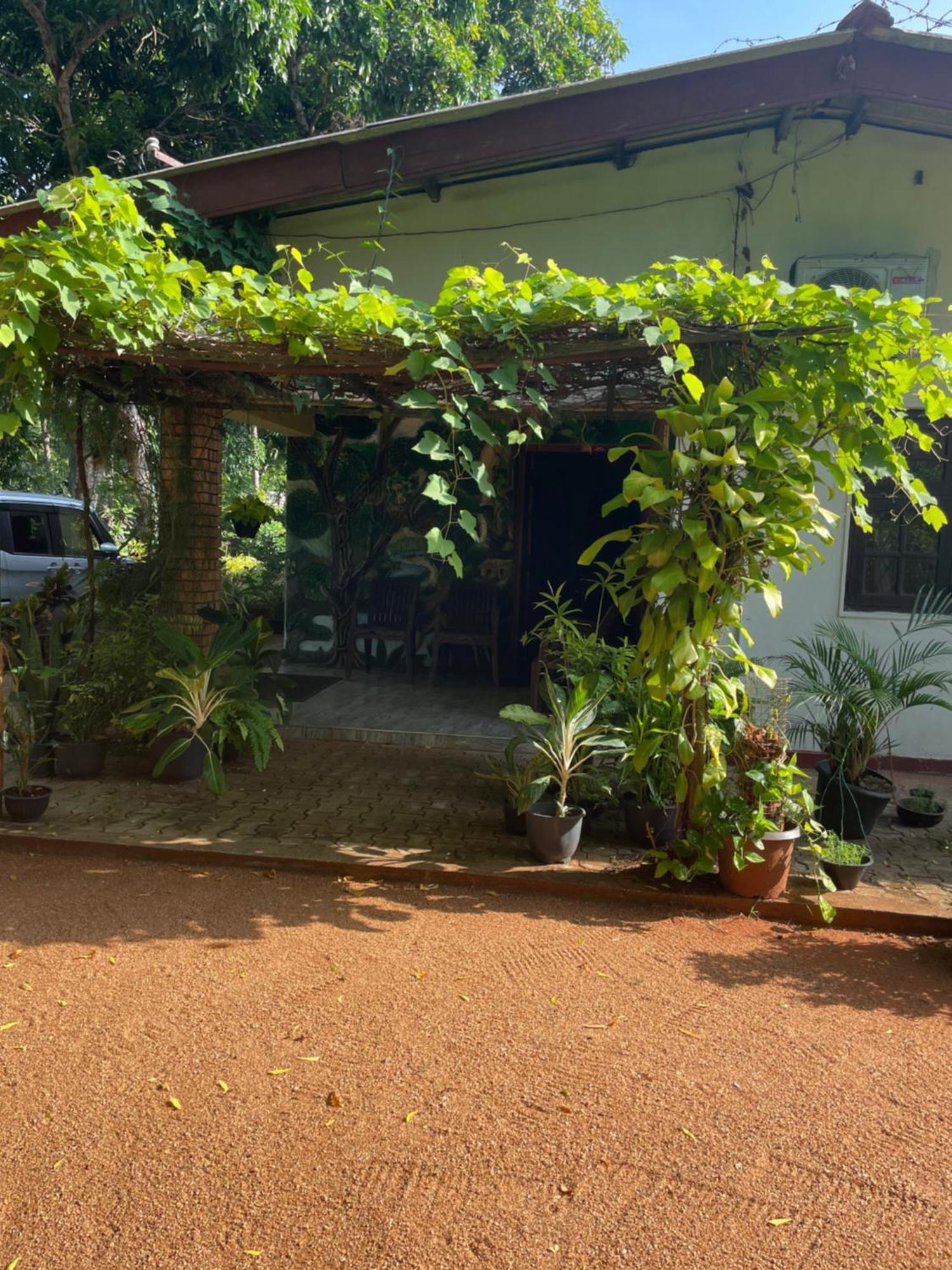 Olivia Homestay Anuradhapura Exterior photo