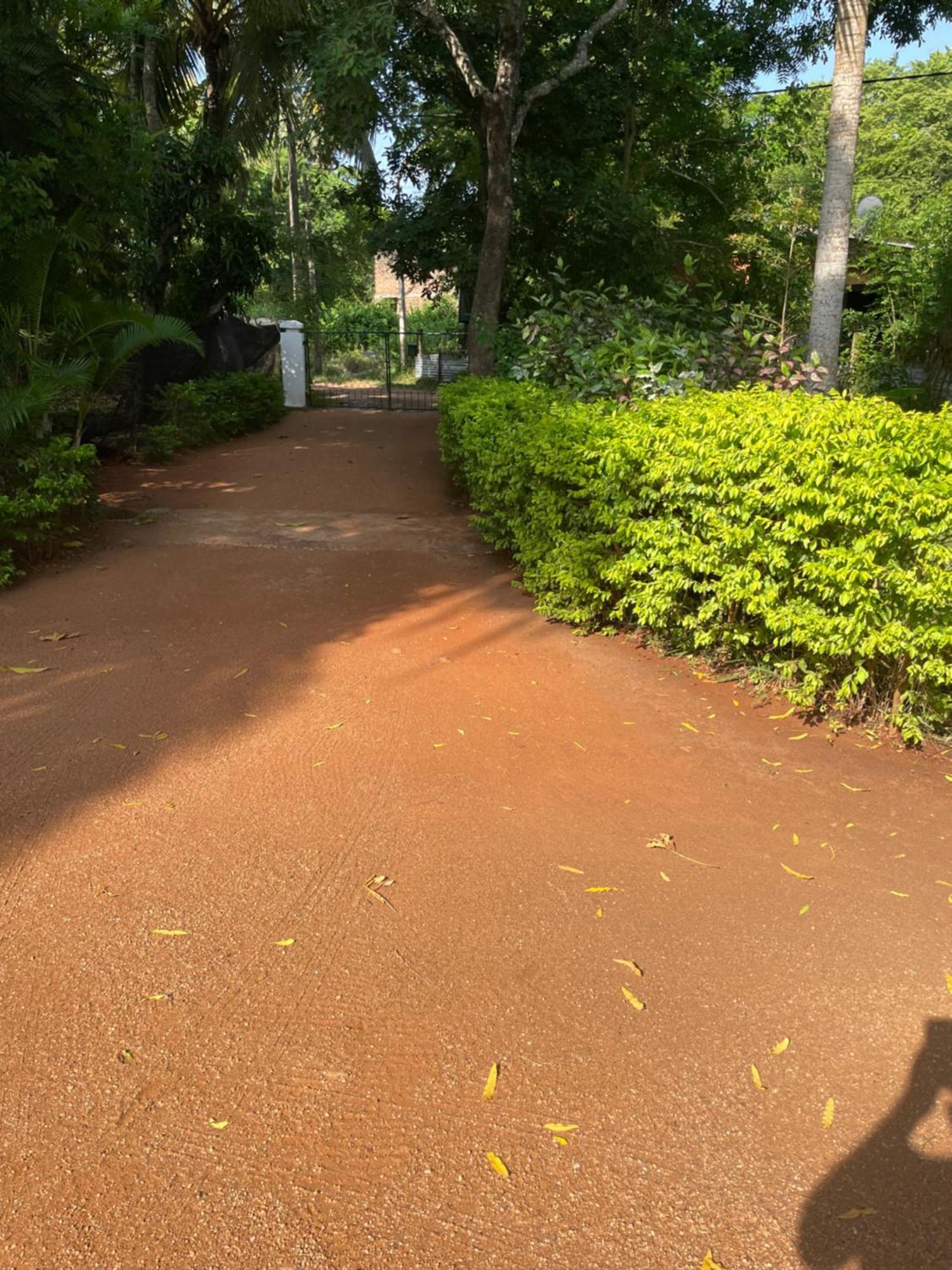 Olivia Homestay Anuradhapura Exterior photo