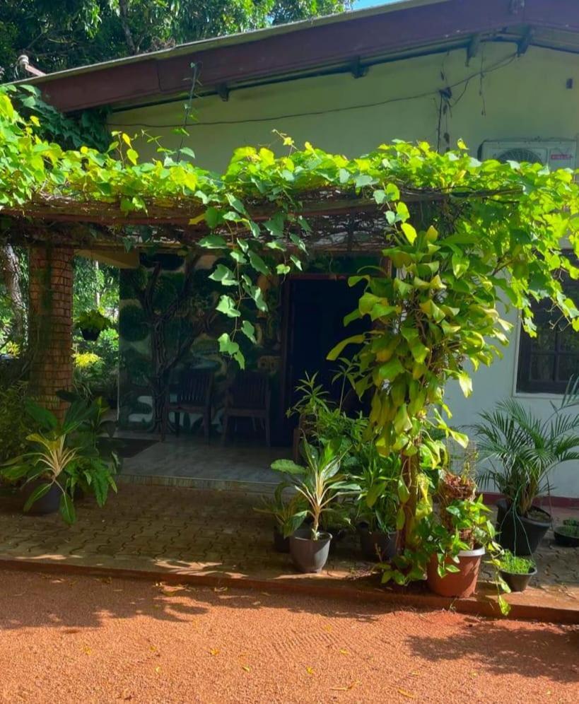 Olivia Homestay Anuradhapura Exterior photo