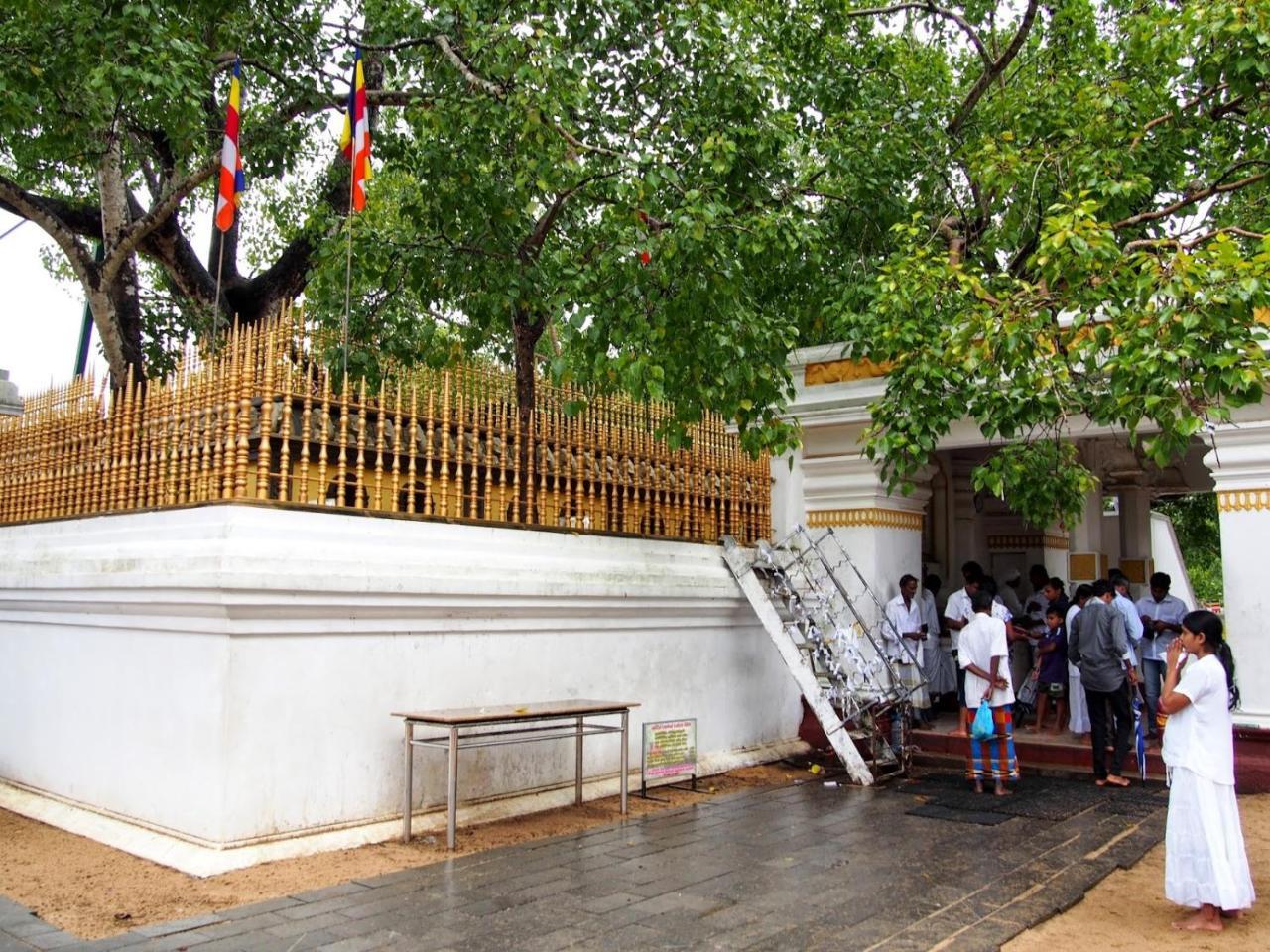 Olivia Homestay Anuradhapura Exterior photo