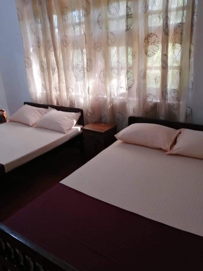 Olivia Homestay Anuradhapura Exterior photo